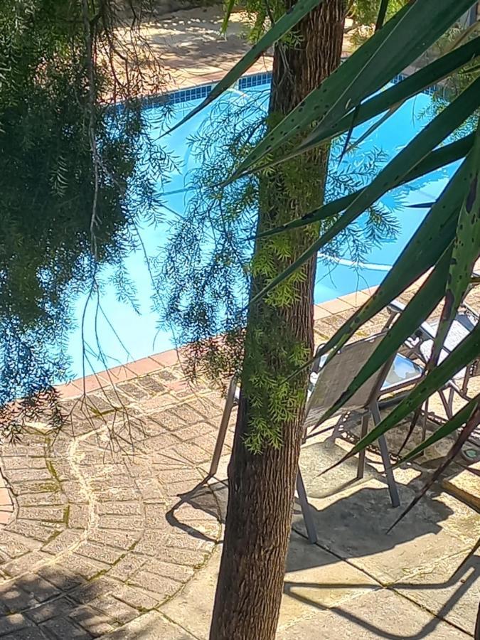 ווייט ריבר Kruger'S Guest House מראה חיצוני תמונה